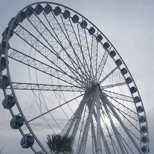 Meet your Posher, Robin